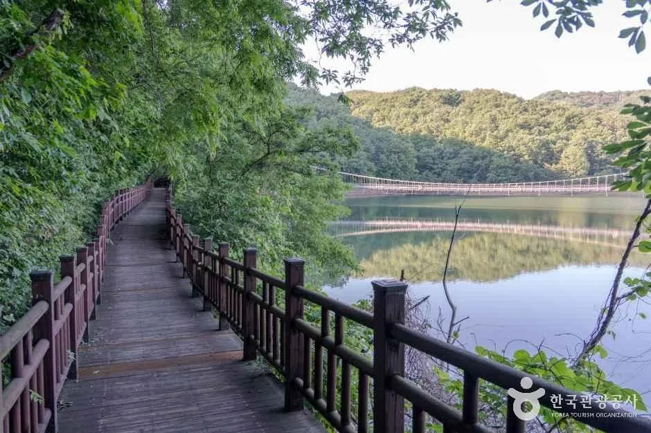 천장호 물가를 따라 이어지는 나무 데크길과 건너편에 걸린 출렁다리