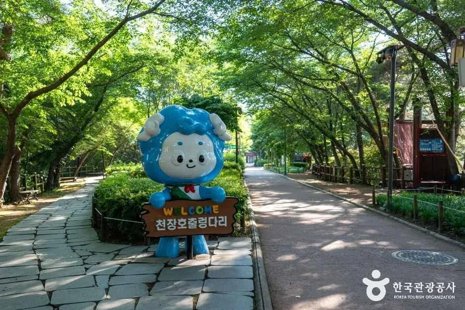 천장호 출렁다리 진입로 초입에 선 청양 캐릭터 안내 표지
