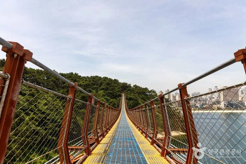 대왕암공원 출렁다리 상판에서 바라본 직선 구간과 오른쪽 바다