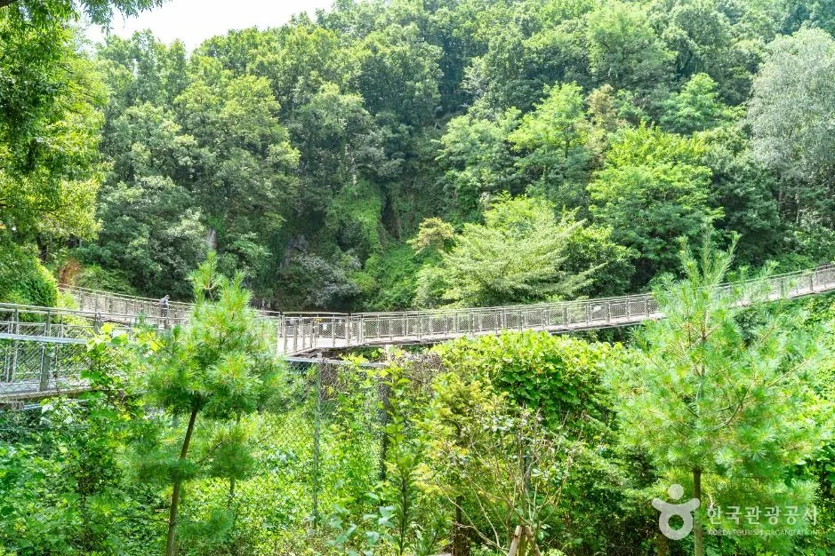 숲 사이로 늘어진 광명 도덕산 출렁다리 옆모습