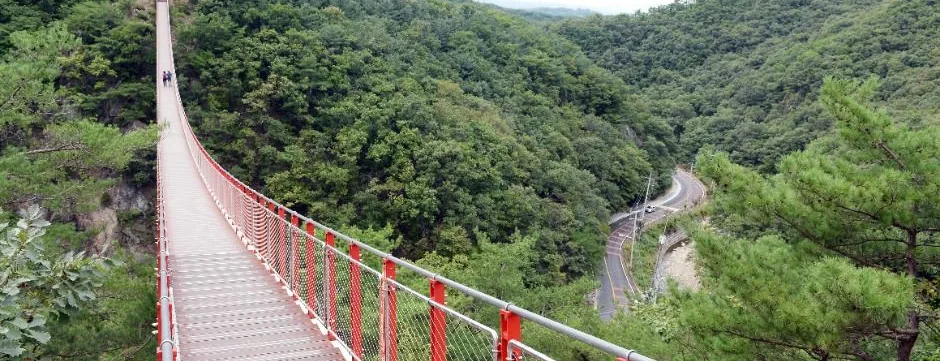 여름 설마리 골짜기를 가로지르는 파주 감악산 출렁다리와 아래 굽이도는 도로