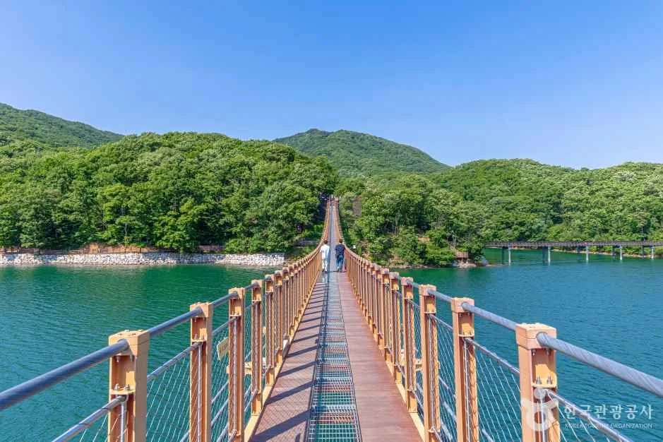 마장호수 출렁다리 상판을 걷는 사람들과 양옆 호수