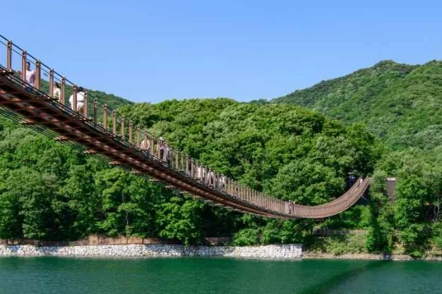 마장호수 물가에서 올려다본 출렁다리의 처진 곡선