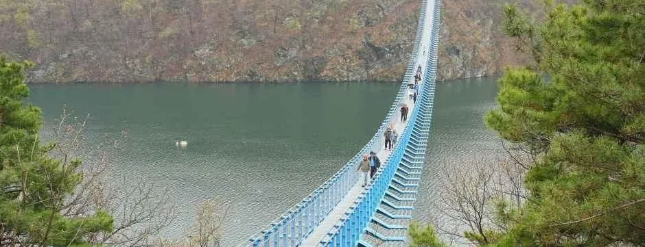 진천 초평호 미르309 출렁다리를 입구 쪽 높은 곳에서 내려다본 모습