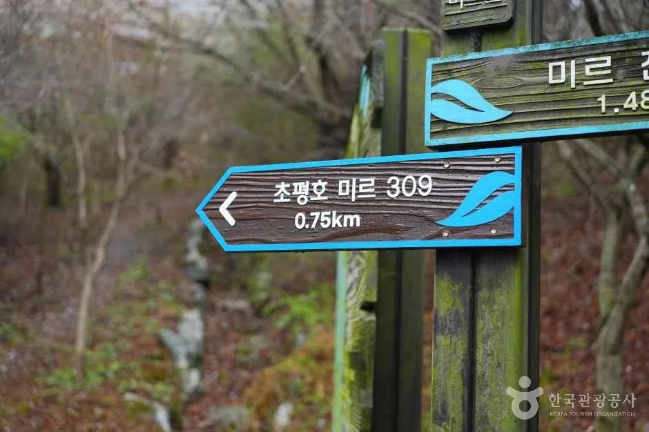 초평호 미르 309 0.75km라고 적힌 나무 이정표