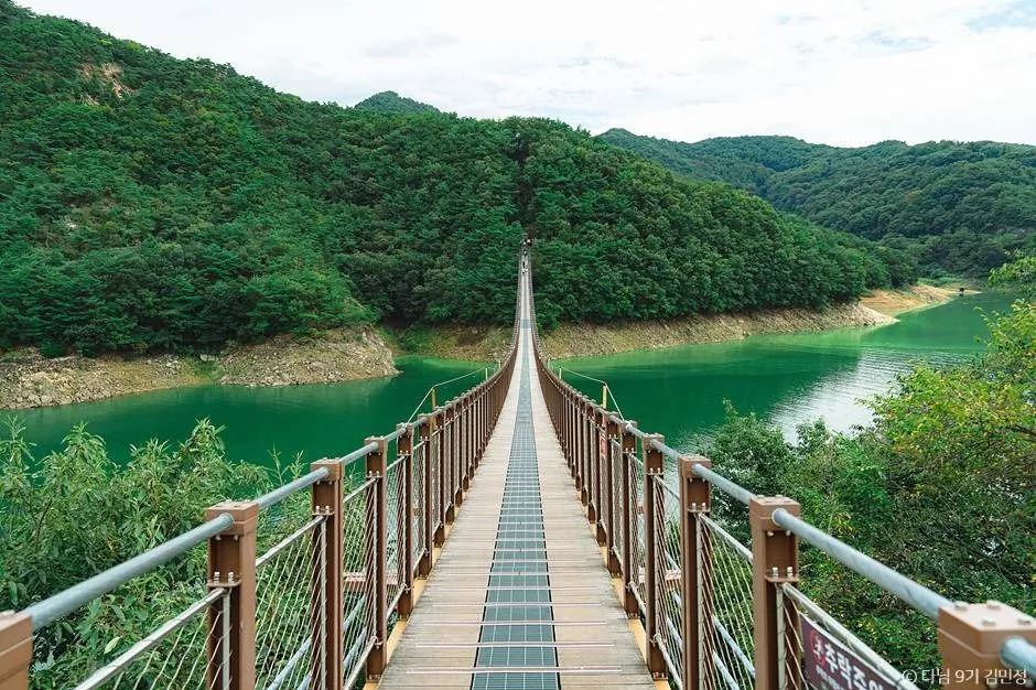 옥순봉 출렁다리 초입에서 건너편 산자락까지 곧게 뻗은 상판과 초록 호수