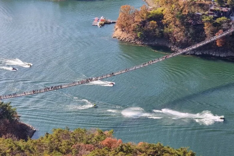 가을 옥순봉 출렁다리를 건너는 사람들과 호수 위를 달리는 보트