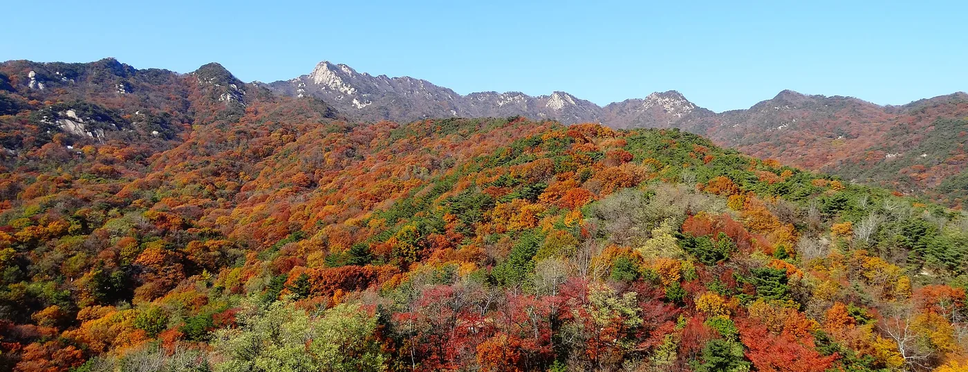 Bukhansan seen from the south with autumn colour on the lower slopes