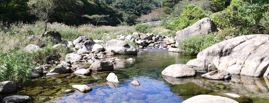 광양 백운산 동곡계곡의 맑은 물과 화강암 바위, 뒤편 산자락