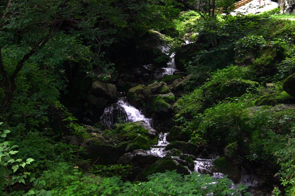 여름 — 이끼 낀 바위를 타고 흐르는 청량산 계곡. 여름 산행의 청량제다. ⓒRo