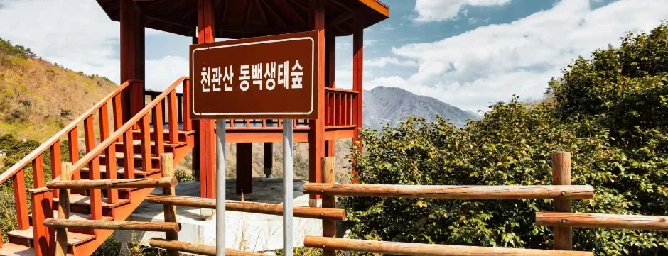 천관산 동백생태숲 정자와 능선