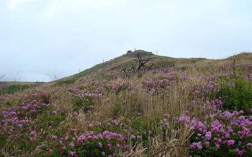천성산