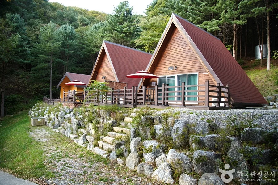 치악산자연휴양림의 삼각지붕 숲속의집 두 채
