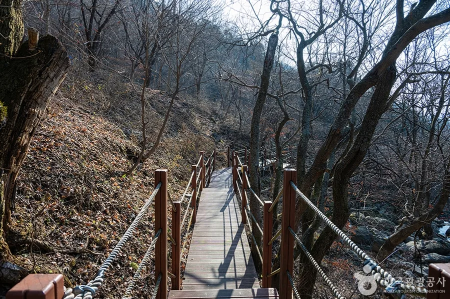 겨울 — 데크 계단 구간. 잎이 다 지면 능선 너머까지 시야가 열린다 ⓒ한국관광공