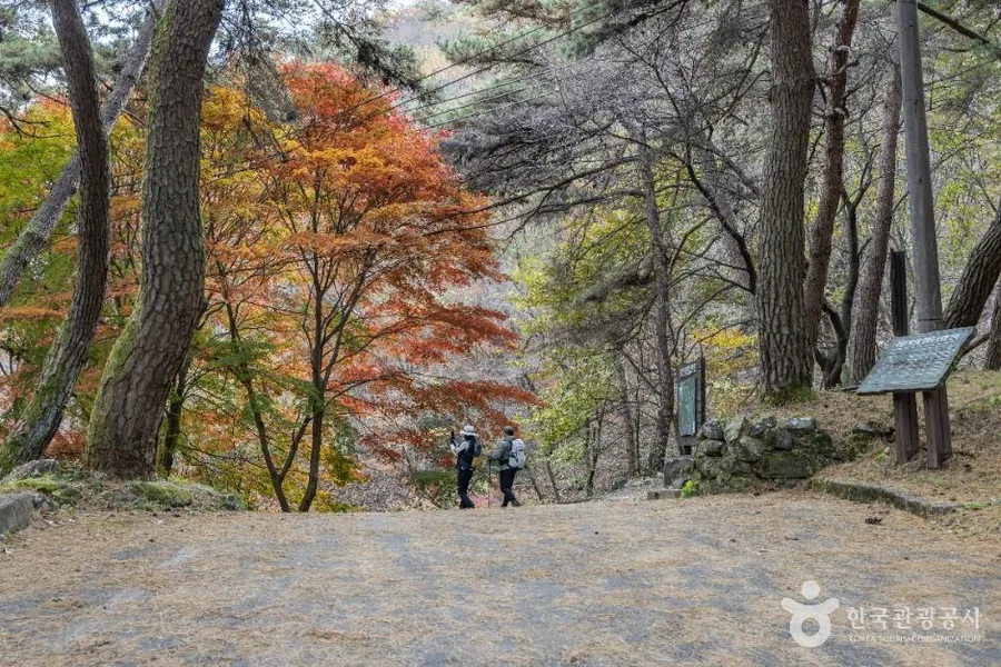 붉게 물든 단풍나무와 소나무 사이 흙 광장, 배낭을 멘 등산객 두 사람과 안내판