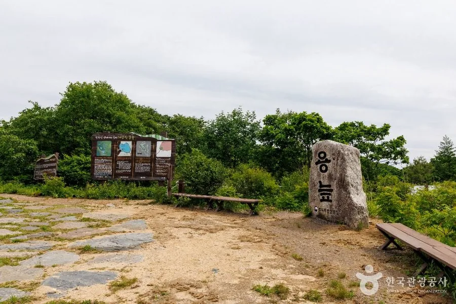 용늪이라 새긴 표석과 안내판, 벤치가 놓인 공터