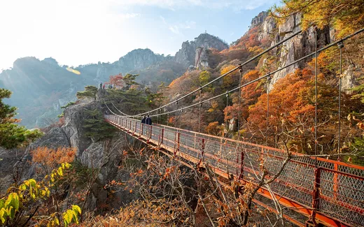 대둔산