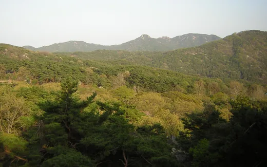 덕숭산