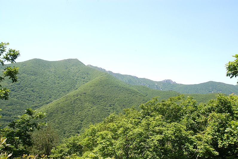 가지산 여름 녹색 능선과 바위봉