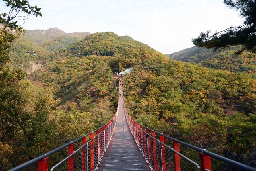 가을 — 가을 색이 오른 설마리 골짜기와 출렁다리. ⓒ한국관광공사 TourAPI