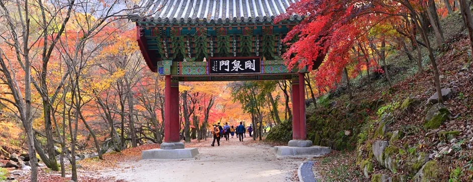 강천산 강천문과 단풍 든 계곡 산책길