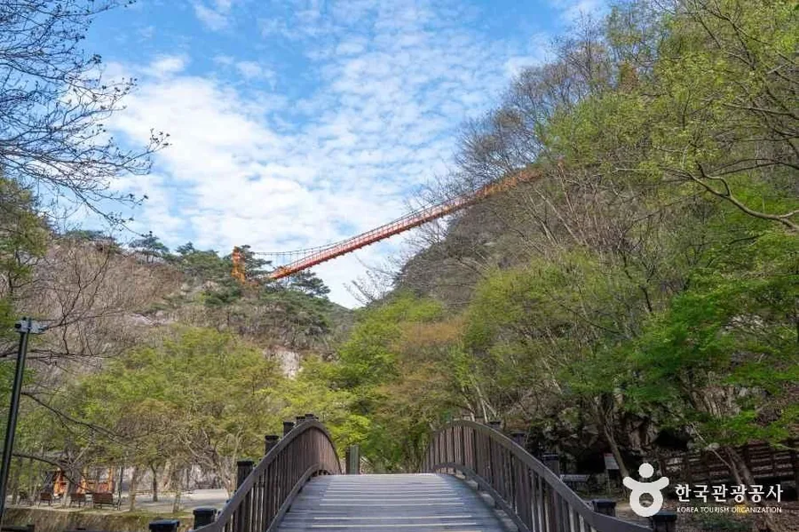 계곡 위로 걸린 강천산 현수교. 1980년 8월 준공, 지상 50m 높이