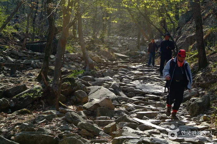 계룡산 동학사계곡의 돌계단 등산로를 오르는 탐방객