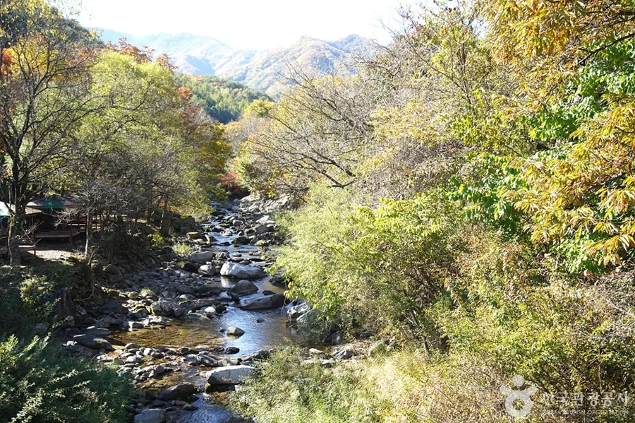 가을빛이 든 화악산 계곡과 뒤로 겹쳐진 산자락