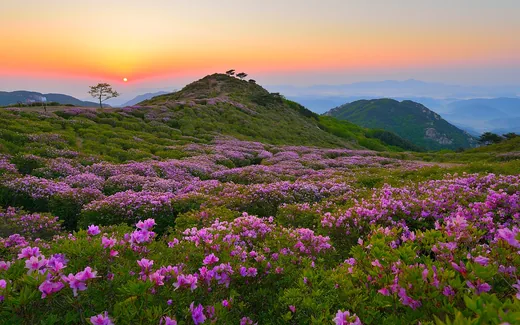 황매산