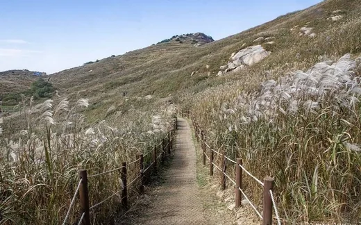 화왕산
