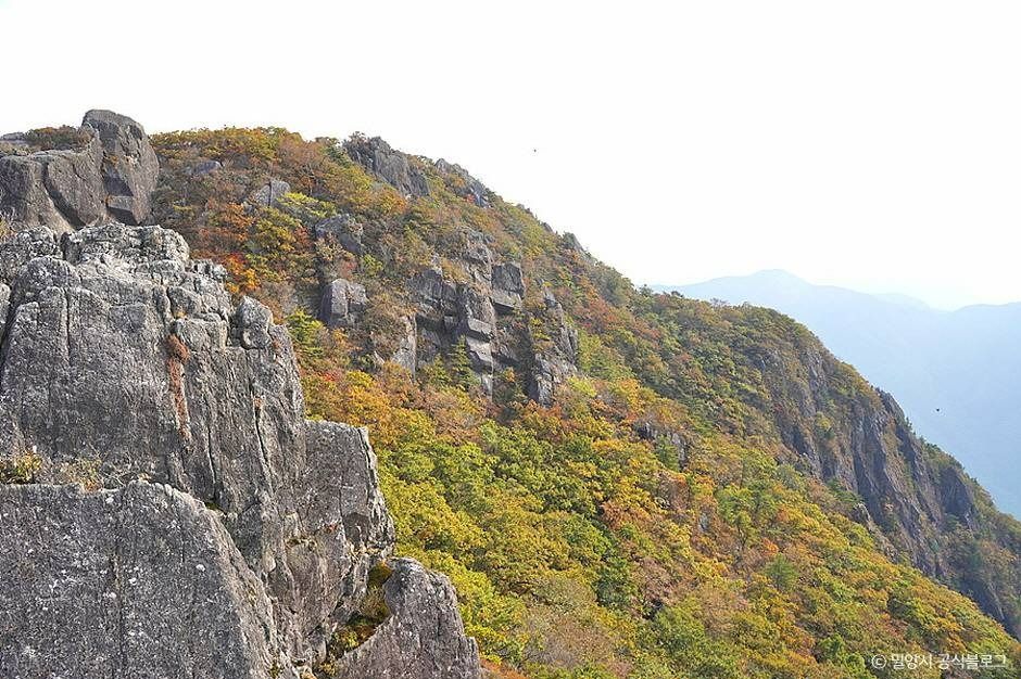 정상부의 바위 능선. 산세는 부드러워도 마루금엔 큰 암벽이 선다. ⓒ한국