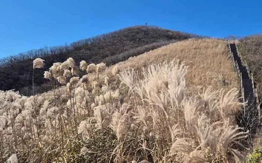 장안산