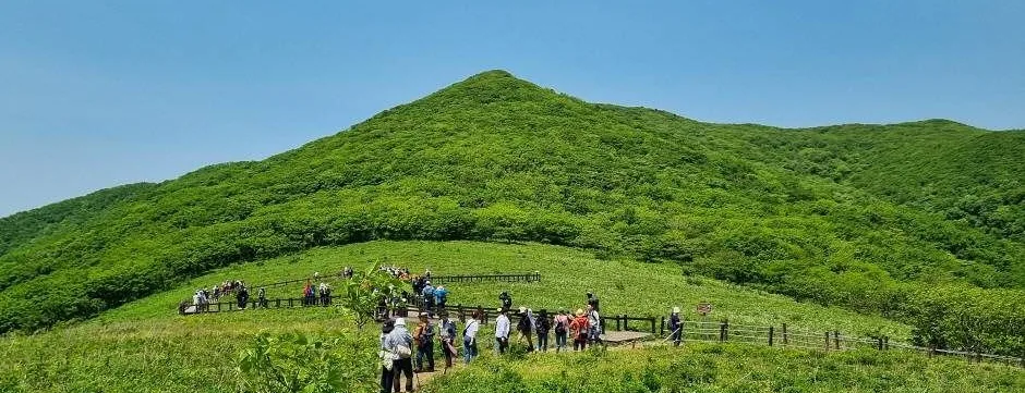 초록 풀로 덮인 곰배령 정상부 초원과 목책을 따라 걷는 탐방객들