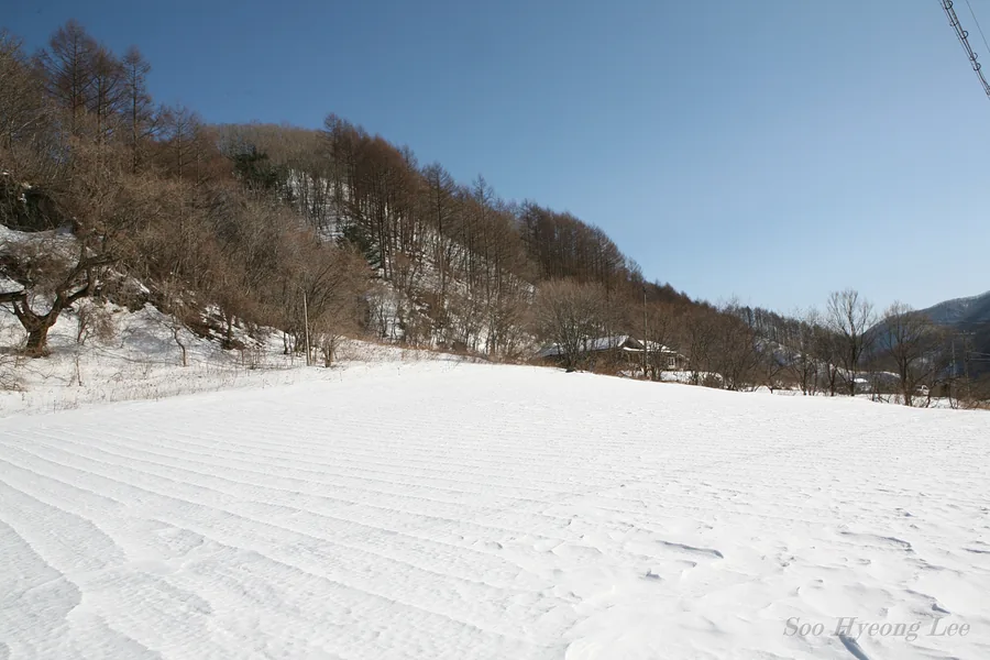 겨울 — 겨울 곰배령 자락의 산촌. 눈 덮인 밭 뒤로 낙엽송 능선과 외딴집이 보인