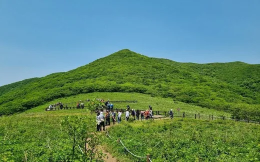 점봉산
