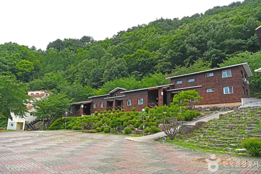 여름 — 짙은 녹음에 둘러싸인 휴양림 숙박동과 앞마당 ⓒ한국관광공사 TourAPI