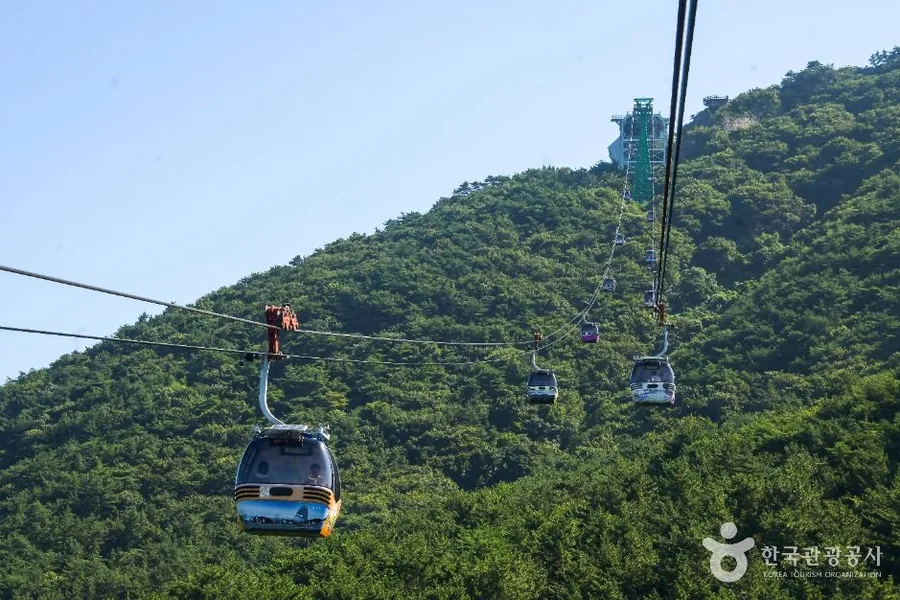 여름 — 짙은 숲 위를 지나 능선으로 오르는 곤돌라. 편도 8~10분이면 상부역사