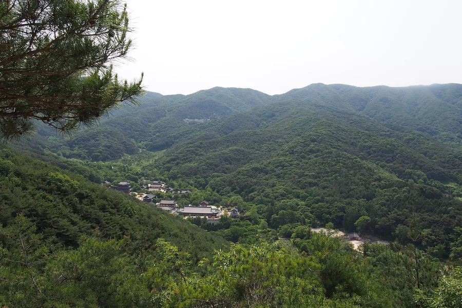 모악산 능선에서 내려다본 금산사 전각들