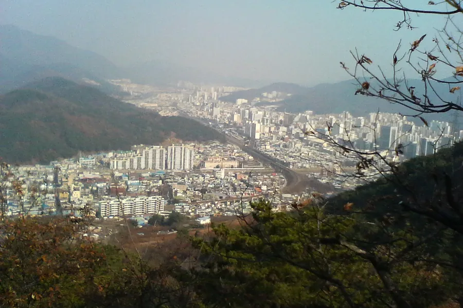 무학산 산자락에서 내려다본 마산회원구 일대. 산과 도심이 맞붙어 있다.
