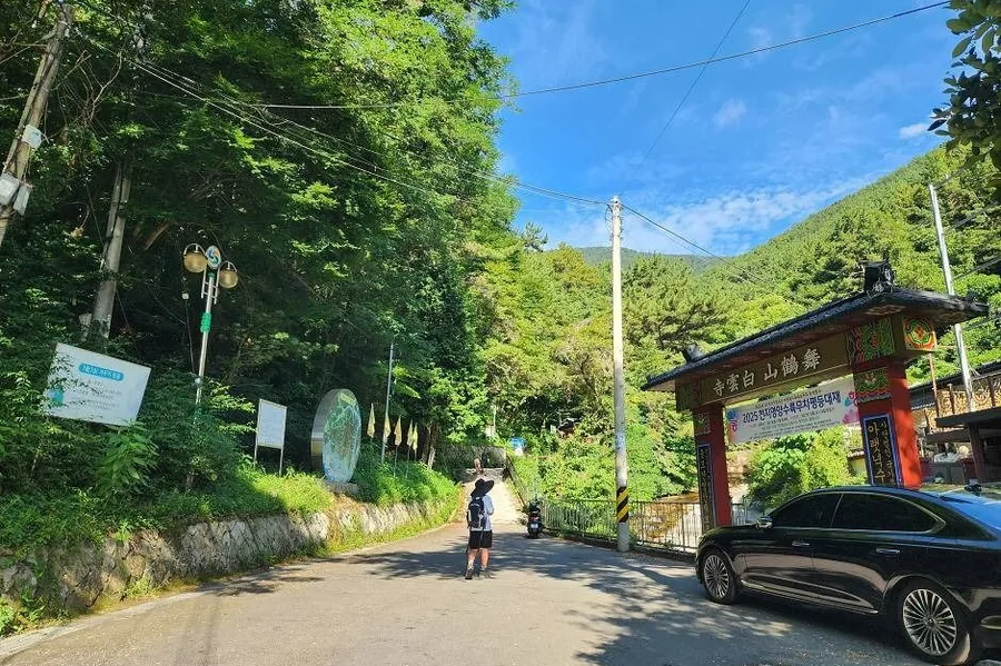 여름 — 짙은 녹음에 덮인 백운사 진입로. 서원곡 최단 기점의 들머리다. ⓒ한국관