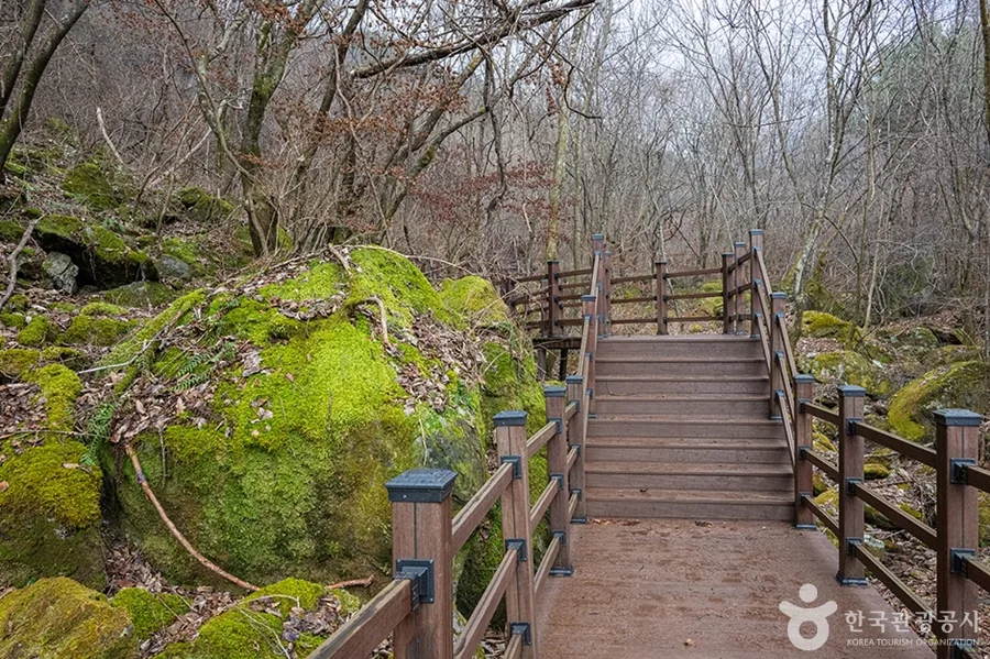 명지산 데크 계단과 이끼 바위