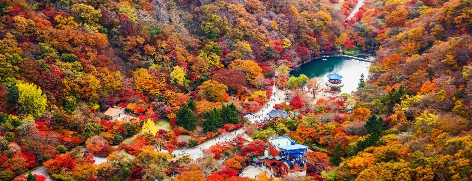 단풍으로 붉게 물든 내장산 골짜기와 우화정 연못을 위에서 내려다본 모습