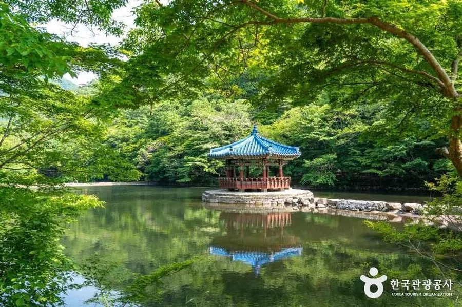 여름 — 잎이 무성한 계절의 우화정. 단풍철 사진과 같은 자리다 ⓒ한국관광공사 T