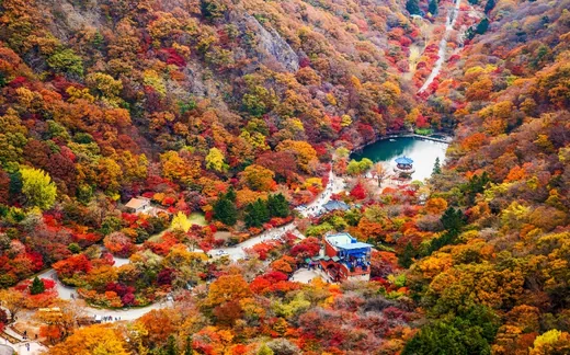 내장산
