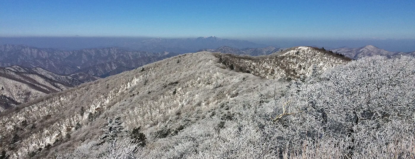상고대가 내려앉은 겨울 오대산 능선