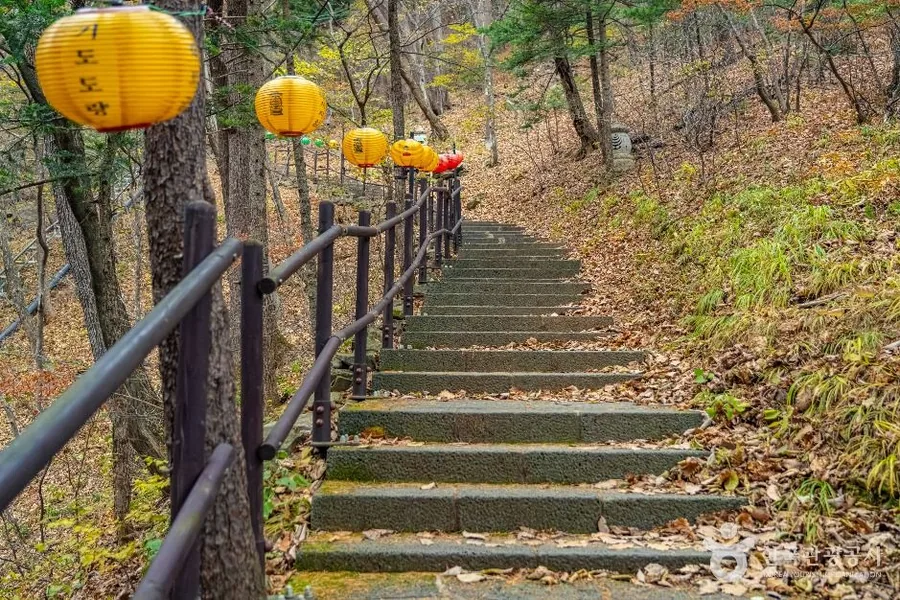 오대산 적멸보궁으로 오르는 돌계단과 연등
