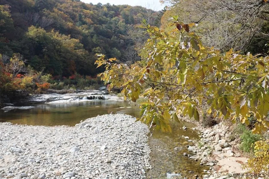 가을 — 가을빛이 든 오대천 계곡 ⓒ한국관광공사 TourAPI
