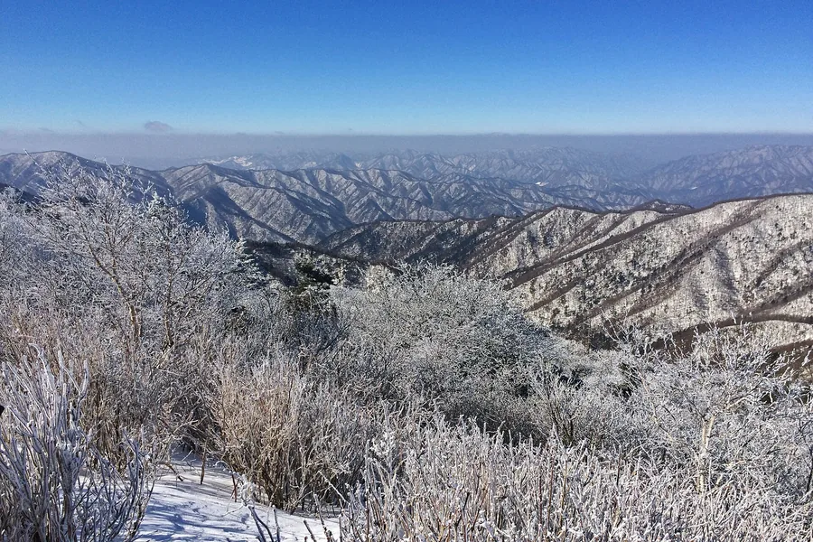 겨울 — 겨울 능선의 상고대 ⓒLcarrion88 · CC BY-SA 4.0