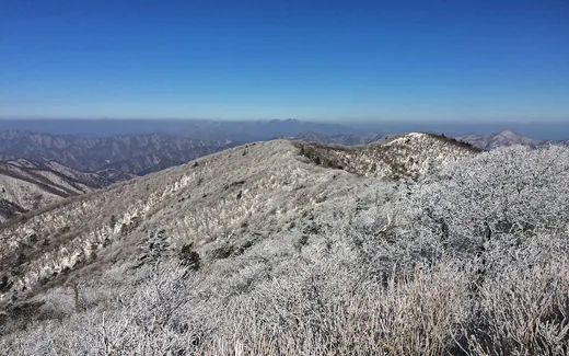 오대산