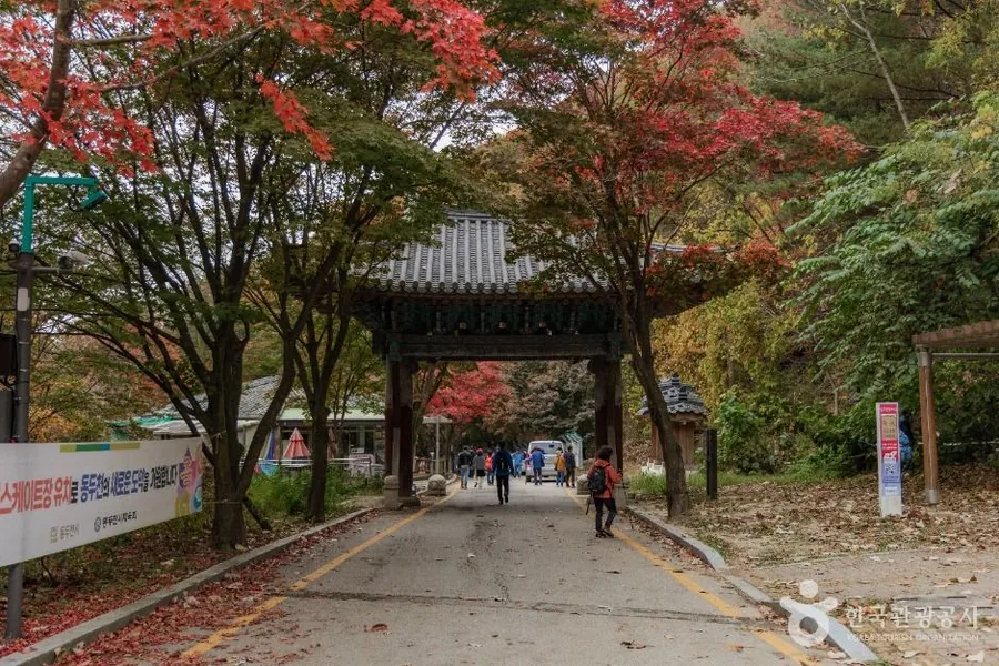 단풍이 내려앉은 자재암 일주문. 대부분의 코스가 이 문에서 시작된다. ⓒ